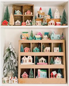 two shelves filled with miniature houses and trees