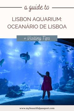 how to visit the lisbon aquarium in portugal Lisbon Aquarium, Lisbon Oceanarium, Visit Europe, The Aquarium, Europe Travel Destinations, Lisbon Portugal, Days Out