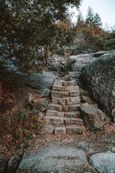 a stone path with steps leading up to some rocks and trees in the background on a fall day