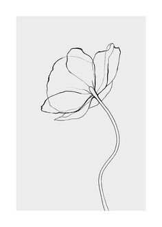 a black and white drawing of a flower