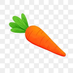 an orange carrot with green leaves on it's head, transparent background png