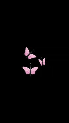 three pink butterflies flying in the dark with no one on it's back side