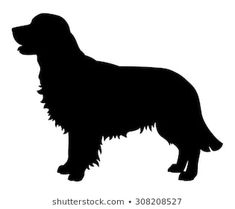 a black and white silhouette of a golden retriever dog on a white background,