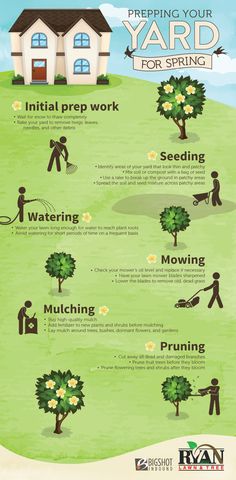 an info board showing the different types of trees and how they are used to grow them