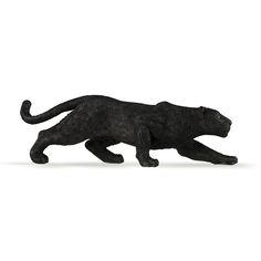 a black cat walking across a white floor