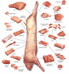 an image of meats and their functions in the body