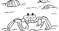 a black and white drawing of a crab on the beach