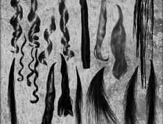 several different types of hair are shown in this black and white photo