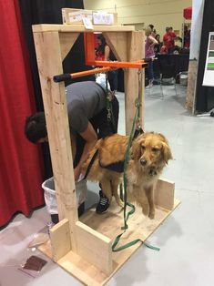 a dog standing on top of a wooden platform next to a person holding a leash