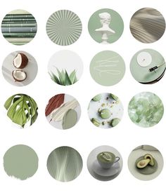 many different green and white items are arranged in circles