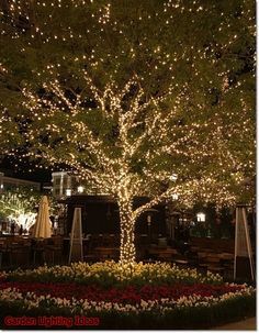 a lighted tree in the middle of a flower garden