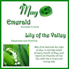 an image of lily of the valley