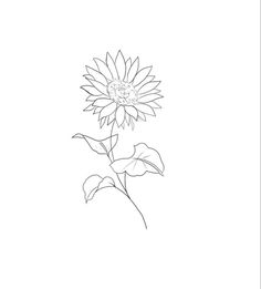 Sunflower Seed Tattoo, Sunflower Outline Drawing Simple, Sunflower Line Tattoo, Fine Line Sunflower Tattoo, Simple Sunflower Tattoo, Sunflower Line Art, Flower Outline Tattoo, Sunflower Outline, Groovy Glam