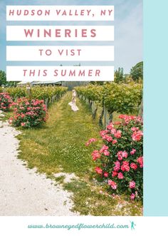 the words hudson valley, ny wineries to visit this summer are overlaid by pink flowers