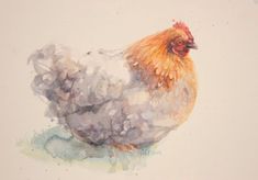 a watercolor painting of a chicken sitting on the ground