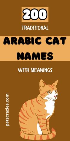 an orange and white cat sitting on top of a brown background with the words arabic cat names