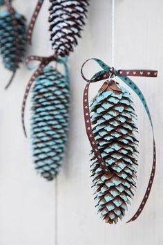 three pine cones hanging from a string on a white wooden wall with blue ribbons and bows