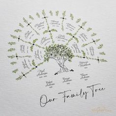 Olive Family Tree small with children Digital Family Tree Template MyGeneTree Family Tree Templates, Family Tree Book, Family Tree Designs, خريطة ذهنية, Family Tree Art, Family Tree Project, Family Tree Template, Sense Of Belonging, Tree Templates