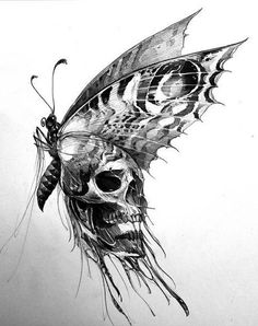 a drawing of a skull with a butterfly on it's head and wings flying through the air