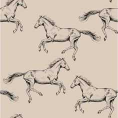 four horses running in the same direction on a beige background with black and white ink