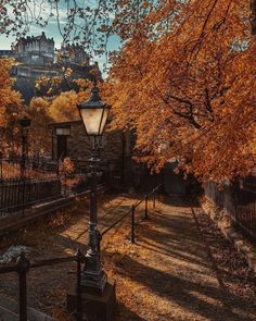 a street light sitting next to a tree filled with orange leaves in front of a castle