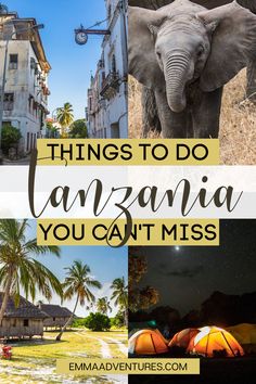 an elephant and some buildings with the words things to do in argentina you can't miss