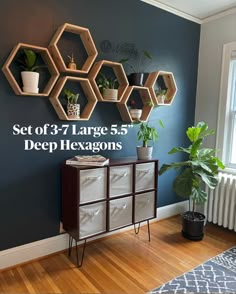 a living room with blue walls and wooden shelving units on the wall, along with plants