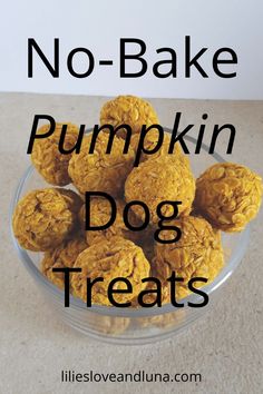 no - bake pumpkin dog treats in a glass bowl with the words, no - bake pumpkin dog treats