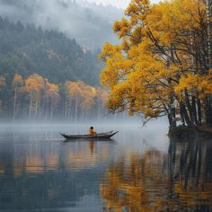 a man in a boat on a lake surrounded by trees with yellow leaves and fog