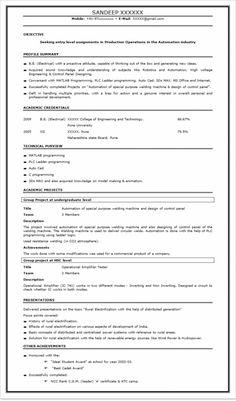 a sample resume for an it professional in word and excel format, with no work experience