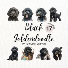 the black goldendoodle watercolor clip art is available for use in this project