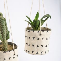 two potted plants hanging from twine ropes