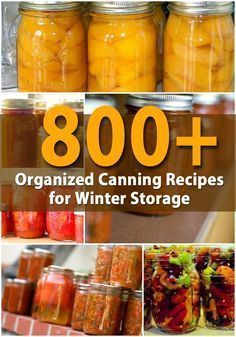 800 + organized canning recipes for winter storage