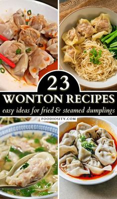 the cover of 23 wonton recipes is shown