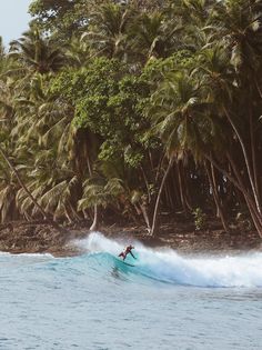 a man riding a wave on top of a surfboard in front of palm trees