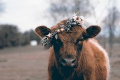 a brown cow wearing a flower crown on its head