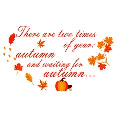 there are two times of year autumn and waiting for an autumn quote on white background