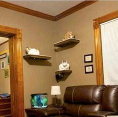 a living room with brown leather furniture and cat perches on the shelf above the couch