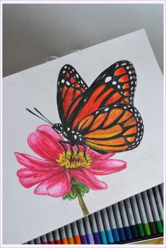 a drawing of a butterfly sitting on top of a pink flower