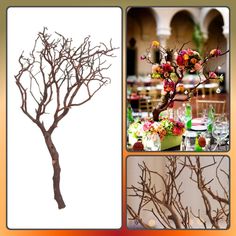 there is a tree that has been decorated with flowers and branches for the centerpiece