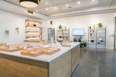 a room filled with lots of wooden boxes on top of a counter covered in plants