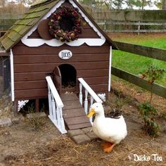 two white ducks in front of a brown dog house