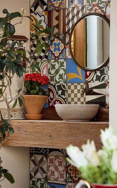 a potted plant sitting on top of a wooden shelf in front of a mirror