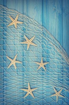 five starfishs are in a net on a blue wood paneled wall,