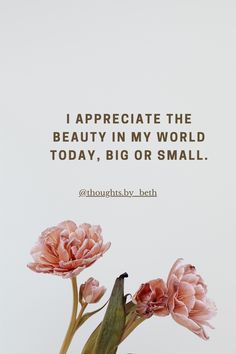 Discover the transformative power of gratitude with this affirmation: "I appreciate the beauty in my world today, big or small." Embrace each moment and find joy in the little things. Join our community to explore more affirmations that uplift your spirit and enhance your well-being! #Gratitude #Affirmations #InnerPeace Gratitude Affirmations, Find Joy, Finding Joy, Inner Peace, Gratitude, In This Moment, Beauty