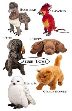 different types of stuffed animals are shown in this image with the words plush toys written below them