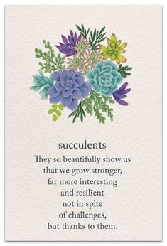 a card with an illustration of succulents and the words, they so beautifully show us that we grow strong, far more interesting and resilit