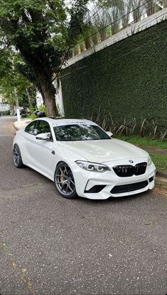 the white car is parked on the side of the road next to a large tree