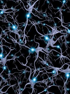 a group of blue and white lights in the shape of brain cells on a black background