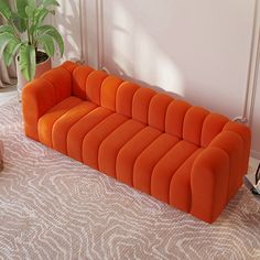 an orange couch sitting on top of a white rug next to a potted plant